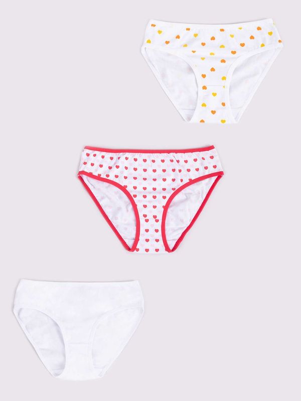 Yoclub Yoclub Kids's Cotton Girls' Briefs Underwear 3-Pack BMD-0037G-AA20-002