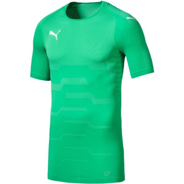Puma Puma FINAL evoKNIT GK Jersey Koszulka bramkarska męska, zielony, rozmiar L
