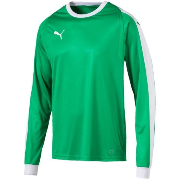 Puma Puma LIGA GK JERSEY Koszulka męska, zielony, rozmiar XL