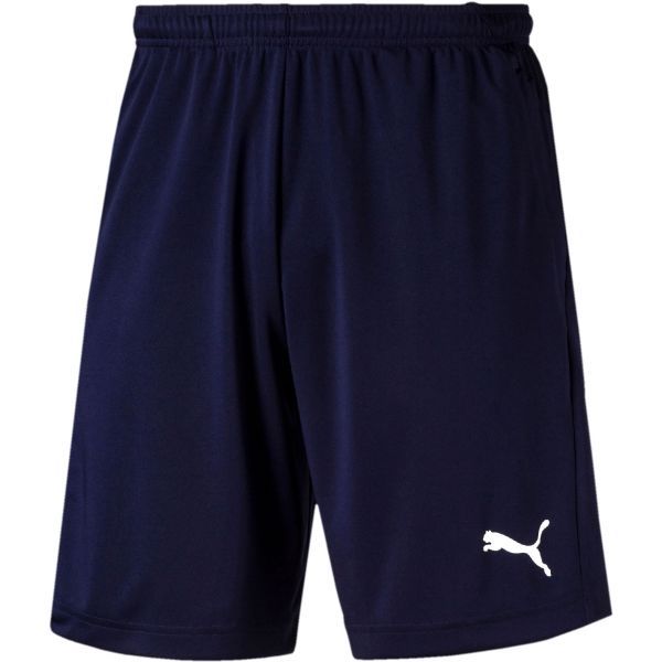 Puma Puma LIGA TRAINING SHORTS Spodenki męskie, ciemnoniebieski, rozmiar S